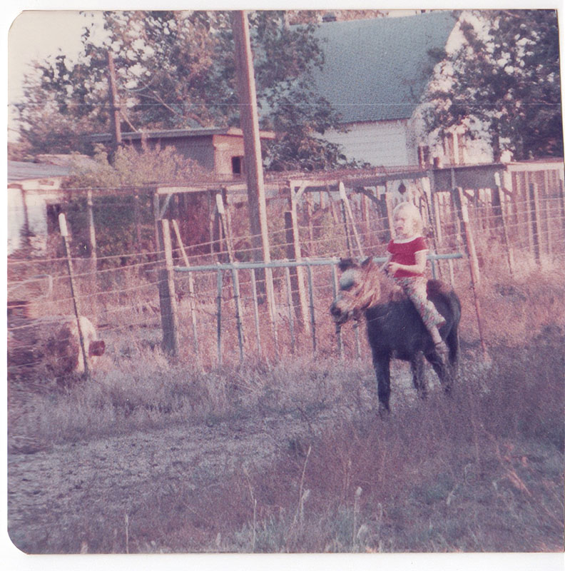 Dr Robyn Lynette - 02 Stardust 1 - Id Like to Thank The Cartel for Getting Me Out of the Cult Cover Only