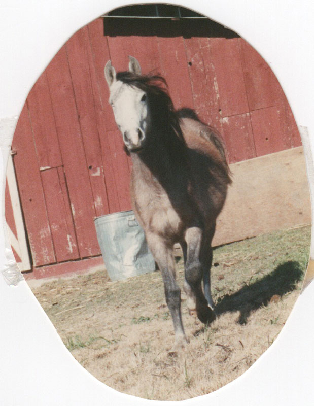 Dr Robyn Lynette - 04 Thunder & Robyn 2 - Id Like to Thank The Cartel for Getting Me Out of the Cult Cover Only