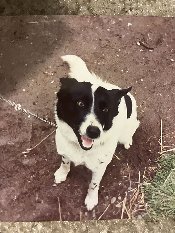 Dr Robyn Lynette - 05 Jim 2 - Id Like to Thank The Cartel for Getting Me Out of the Cult Cover Only