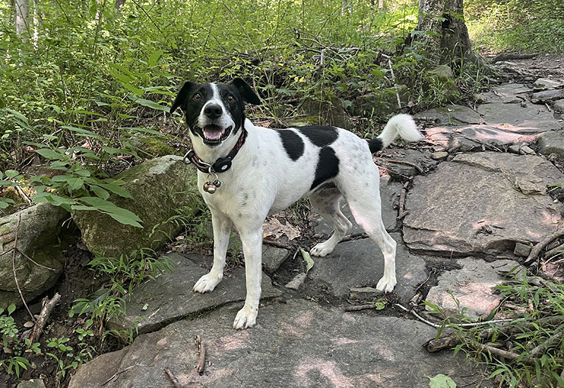 Dr Robyn Lynette - 06 teenage Robyn - Id Like to Thank The Cartel for Getting Me Out of the Cult Cover Only