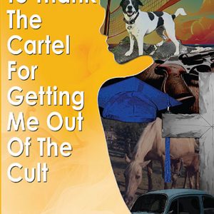 Dr Robyn Lynette - I'd Like to Thank The Cartel for Getting Me Out of the Cult Book Cover